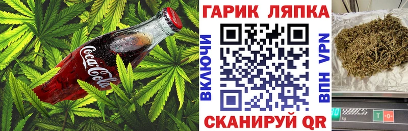Canna-Cookies марихуана  Купить  Вышний Волочёк 