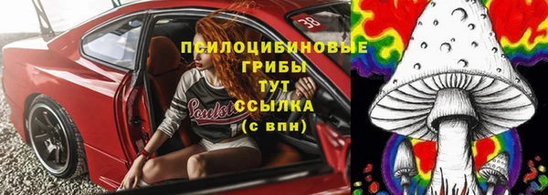 apvp Бугульма