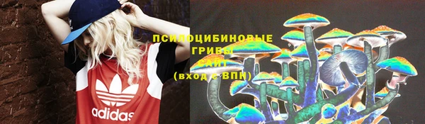 apvp Бугульма